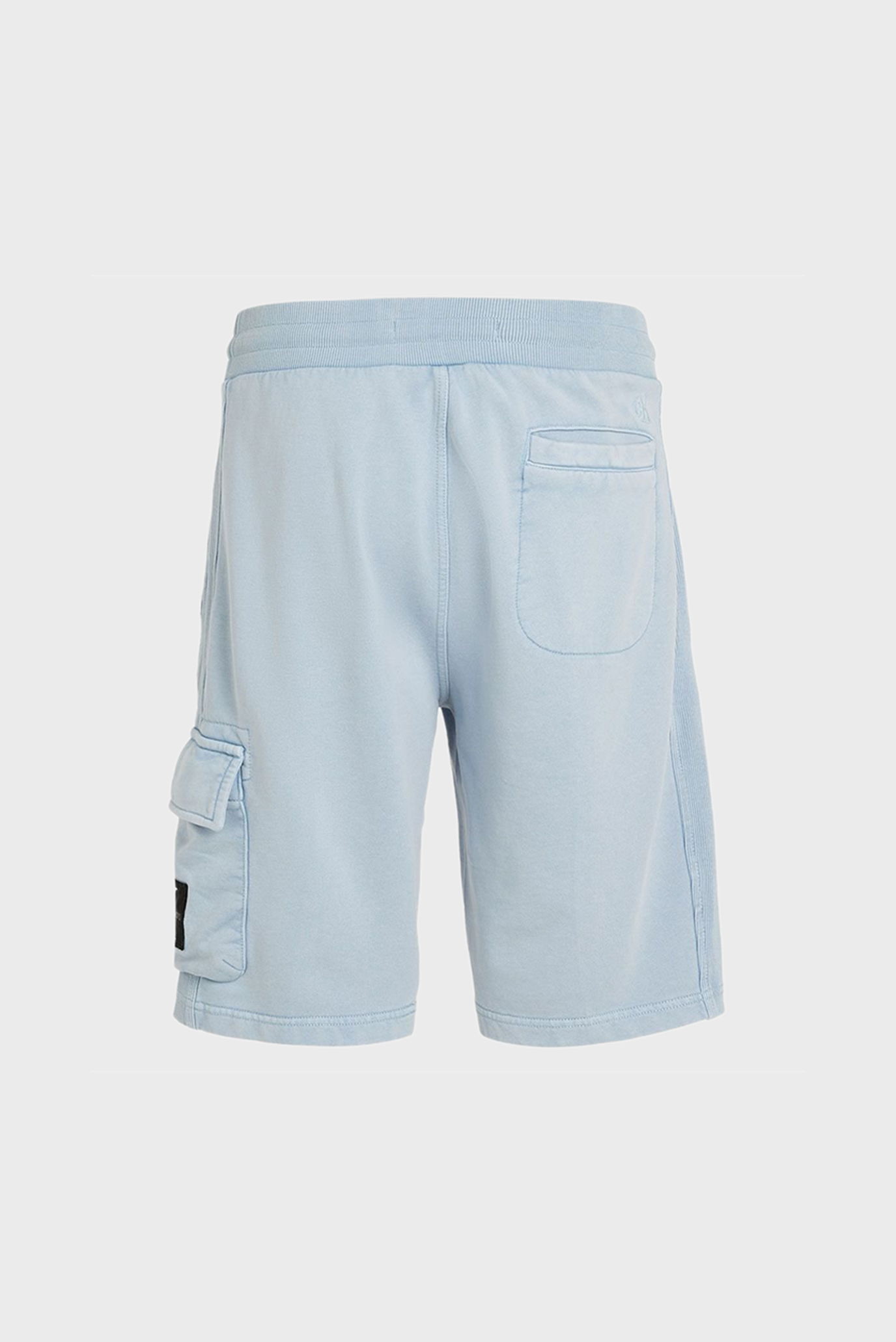Мужские голубые шорты WASHED BADGE 2