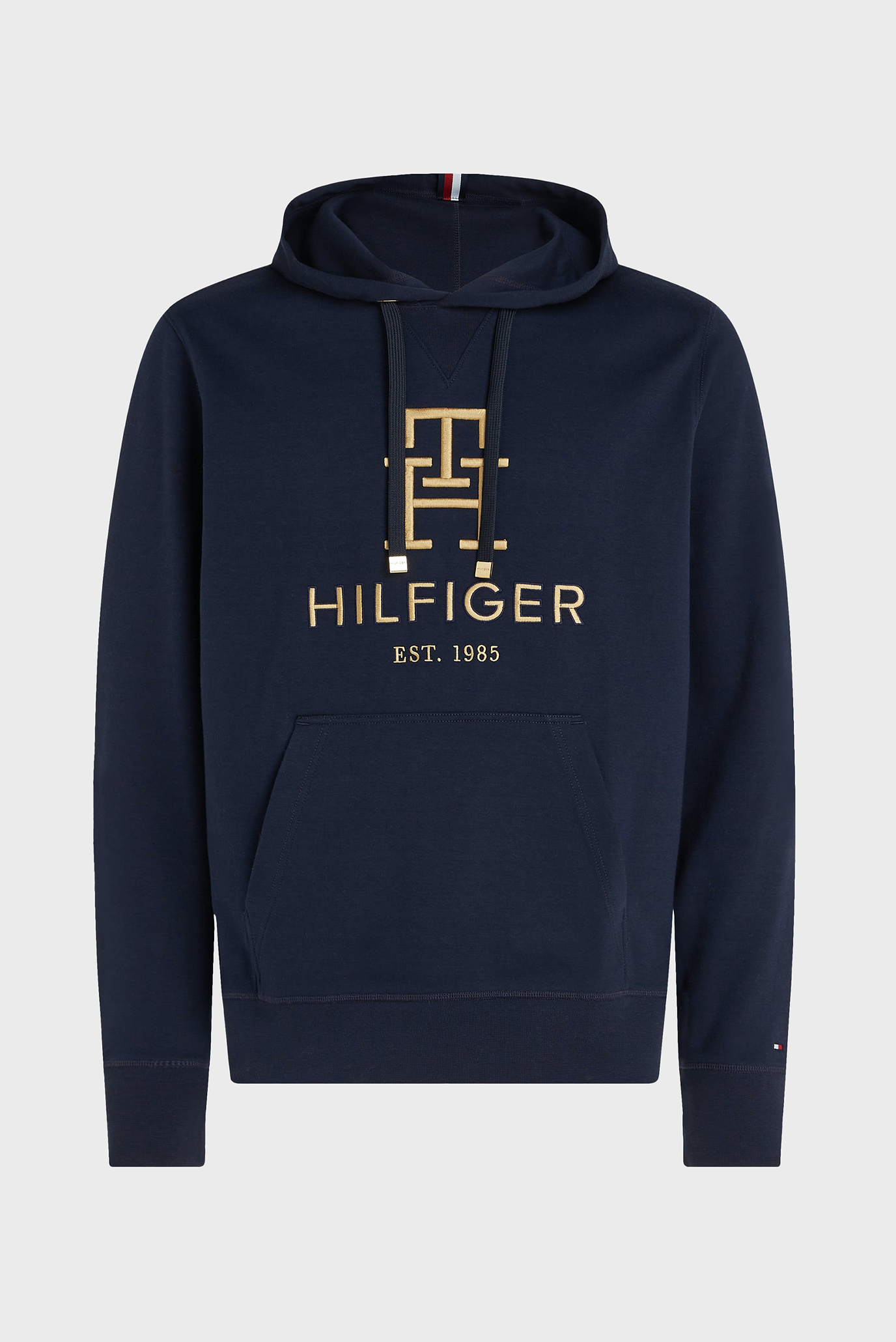 Icon hoodie tommy hilfiger sale