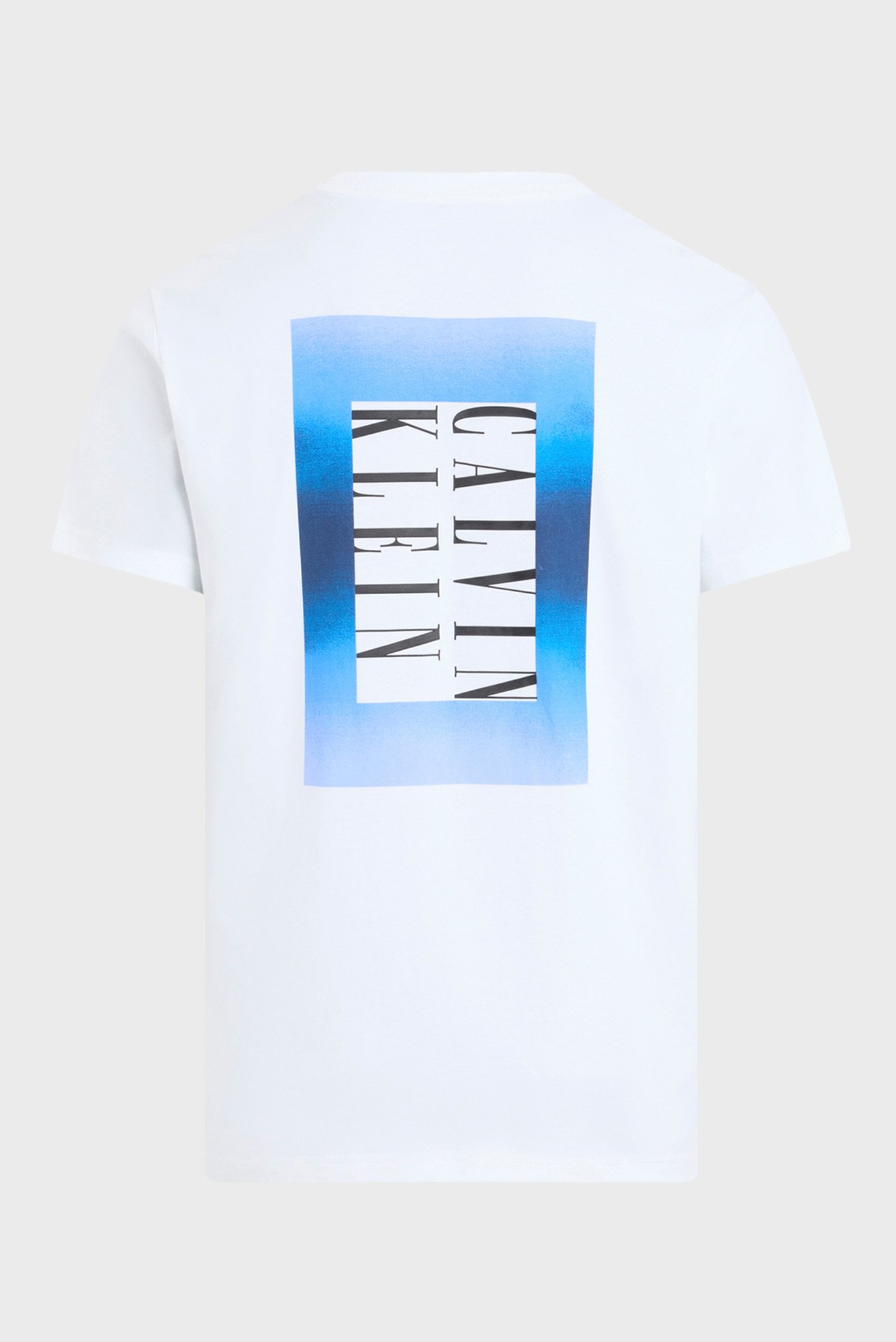 Футболка OMBRE TEXT BOX TEE 1