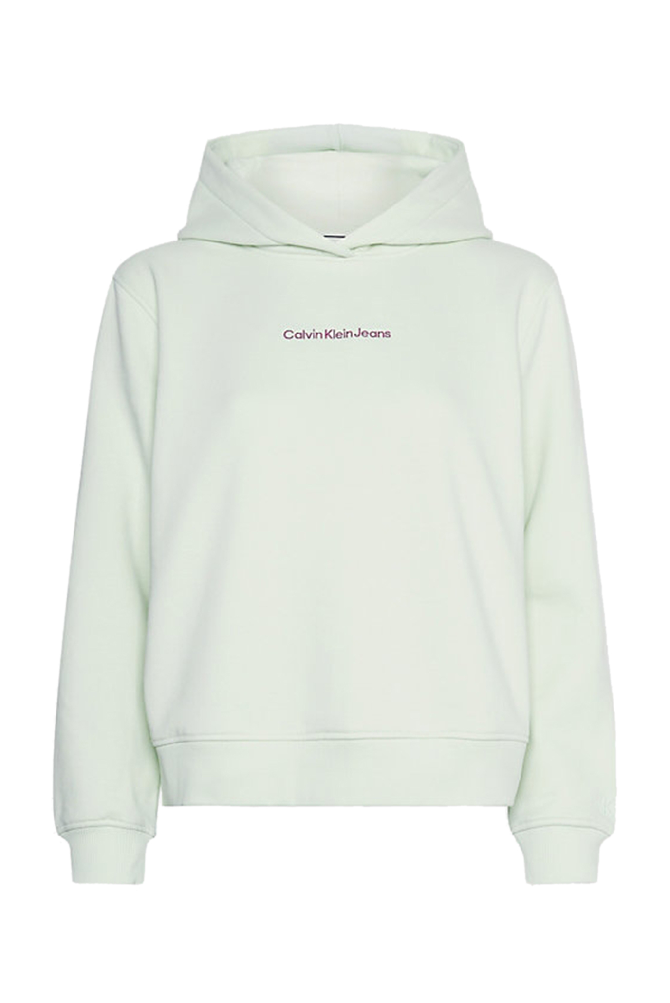 Худи INSTITUTIONAL REGULAR HOODIE 5