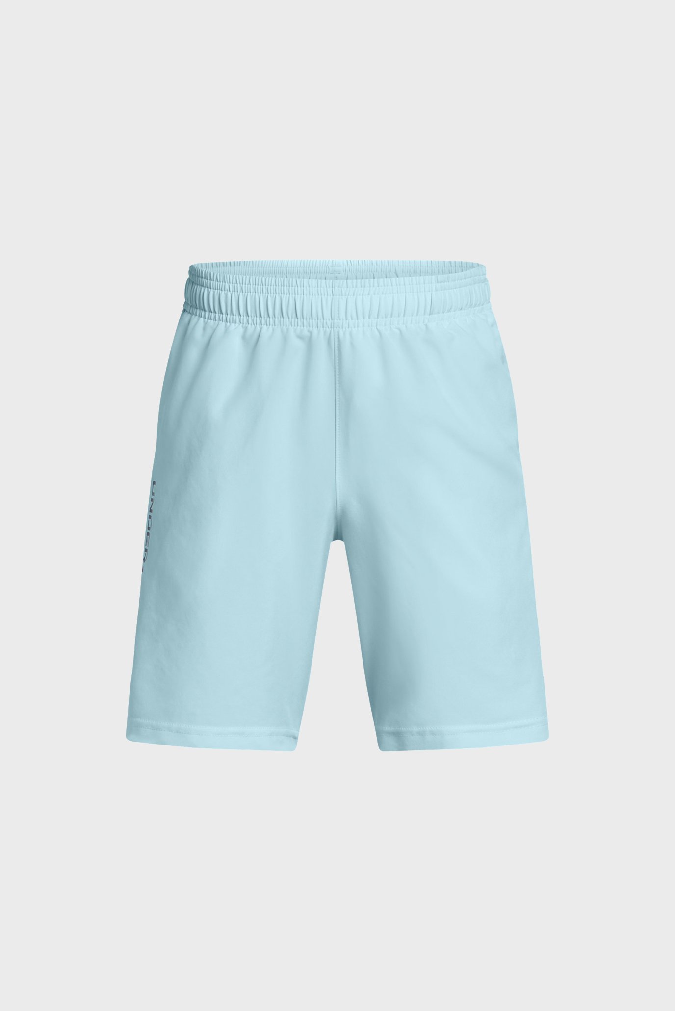 Шорты UA Tech Woven Wordmark Short-BLU 1