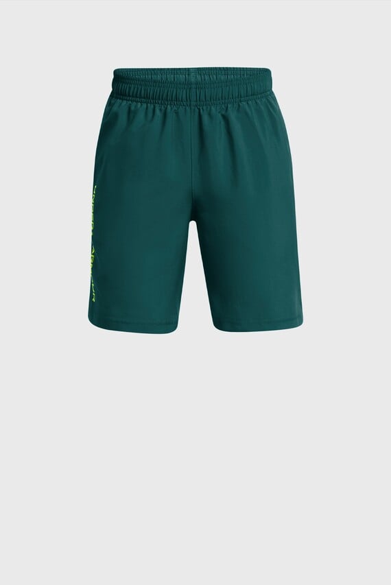 Шорты UA Woven Wdmk Shorts