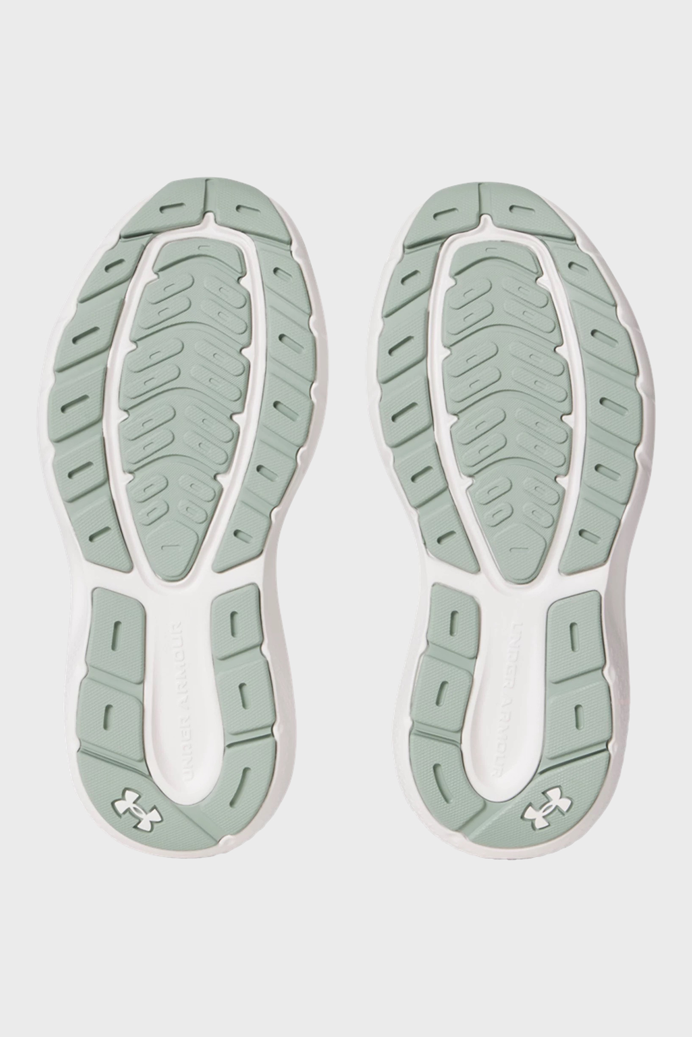 Кроссовки UA W Charged Rogue 5 5