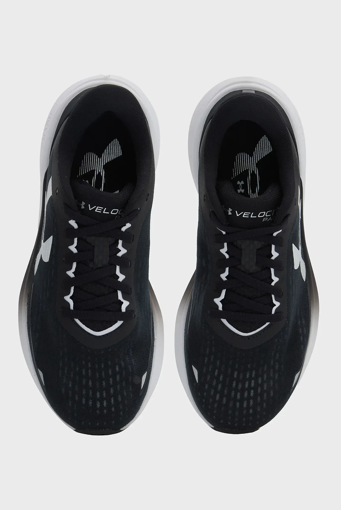 Кроссовки UA W Velociti Pace 4