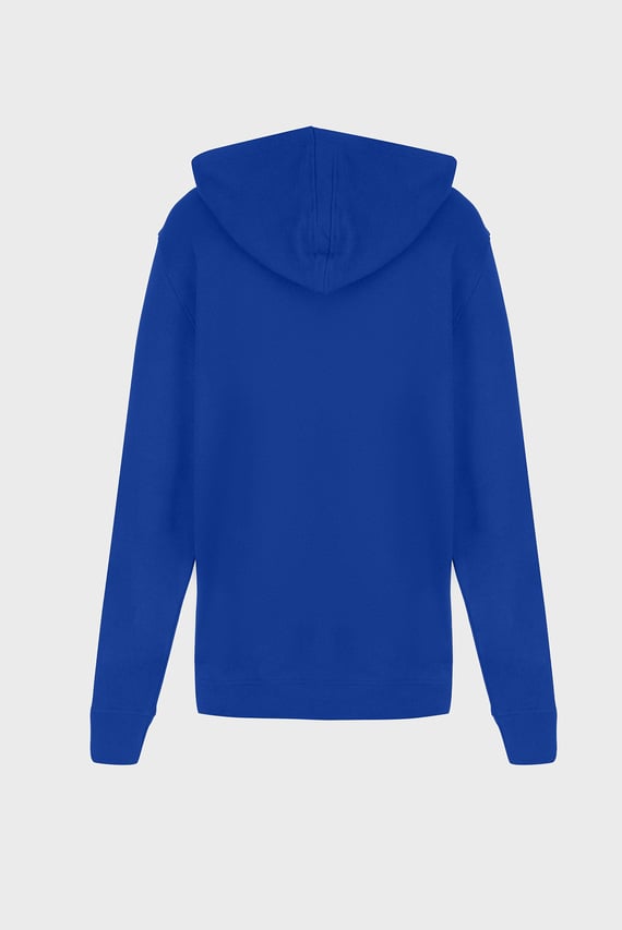Мужское синее худи INSTITUTIONAL HOODIE