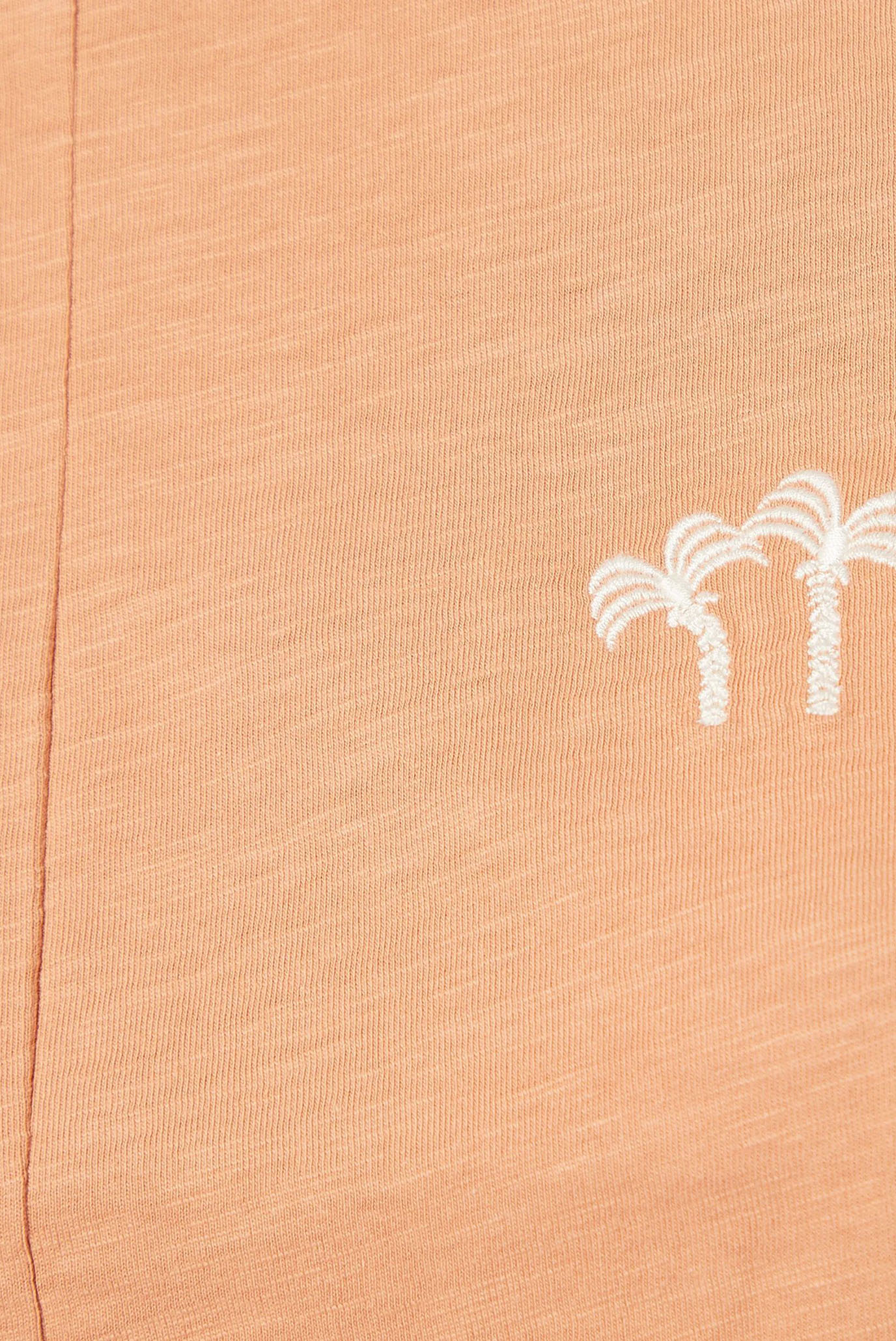 Футболка APOLA - T-SHIRT 5