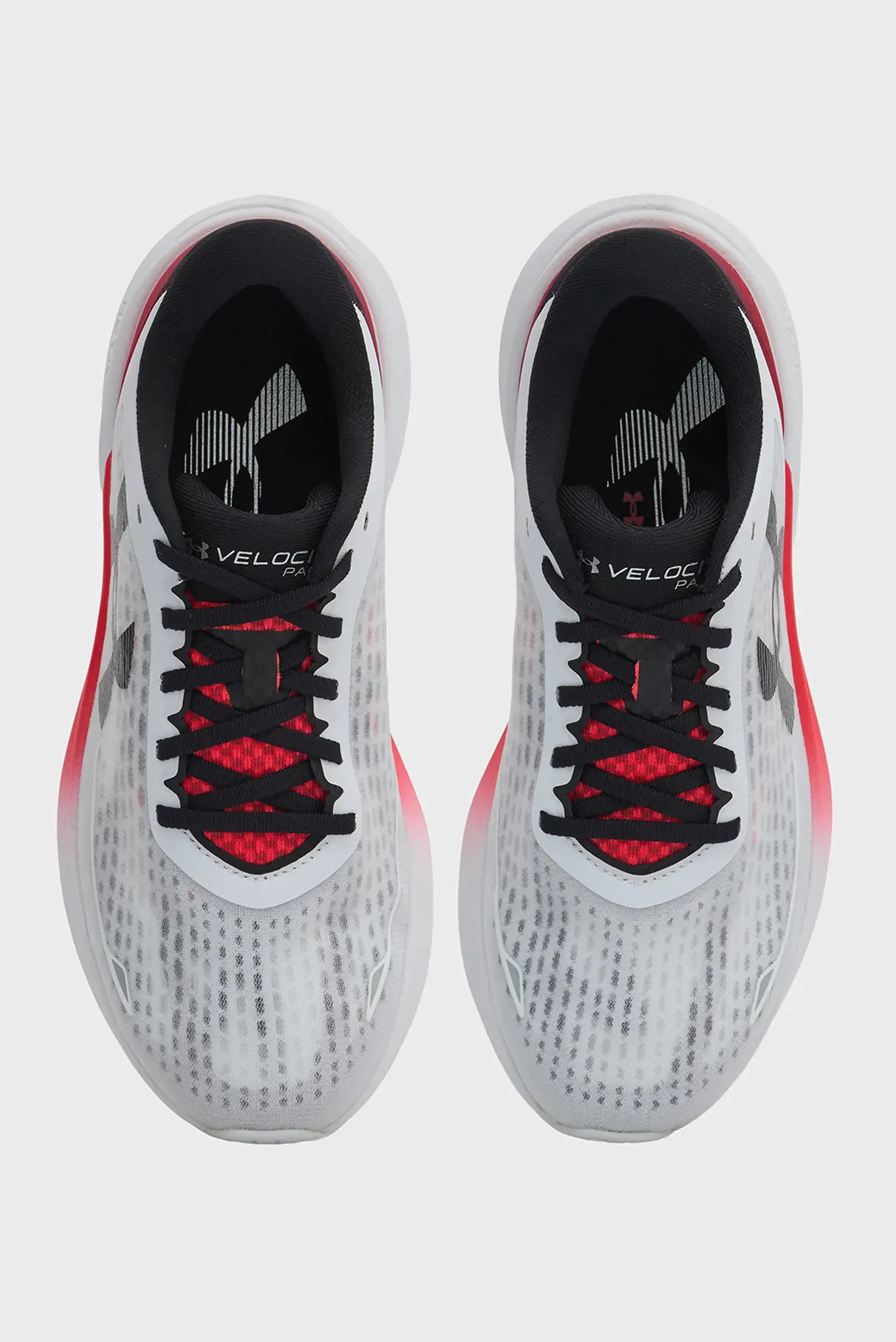 Кроссовки UA Velociti Pace 4