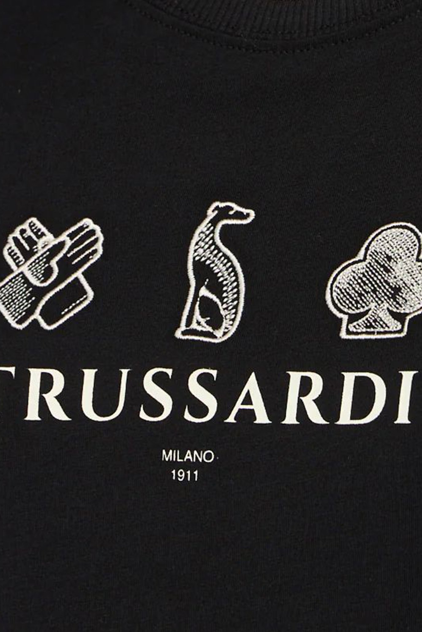 Футболка REGULAR FIT T-SHIRT - TRUSSARDI LEGACY PRINT+EMBROIDERY 2