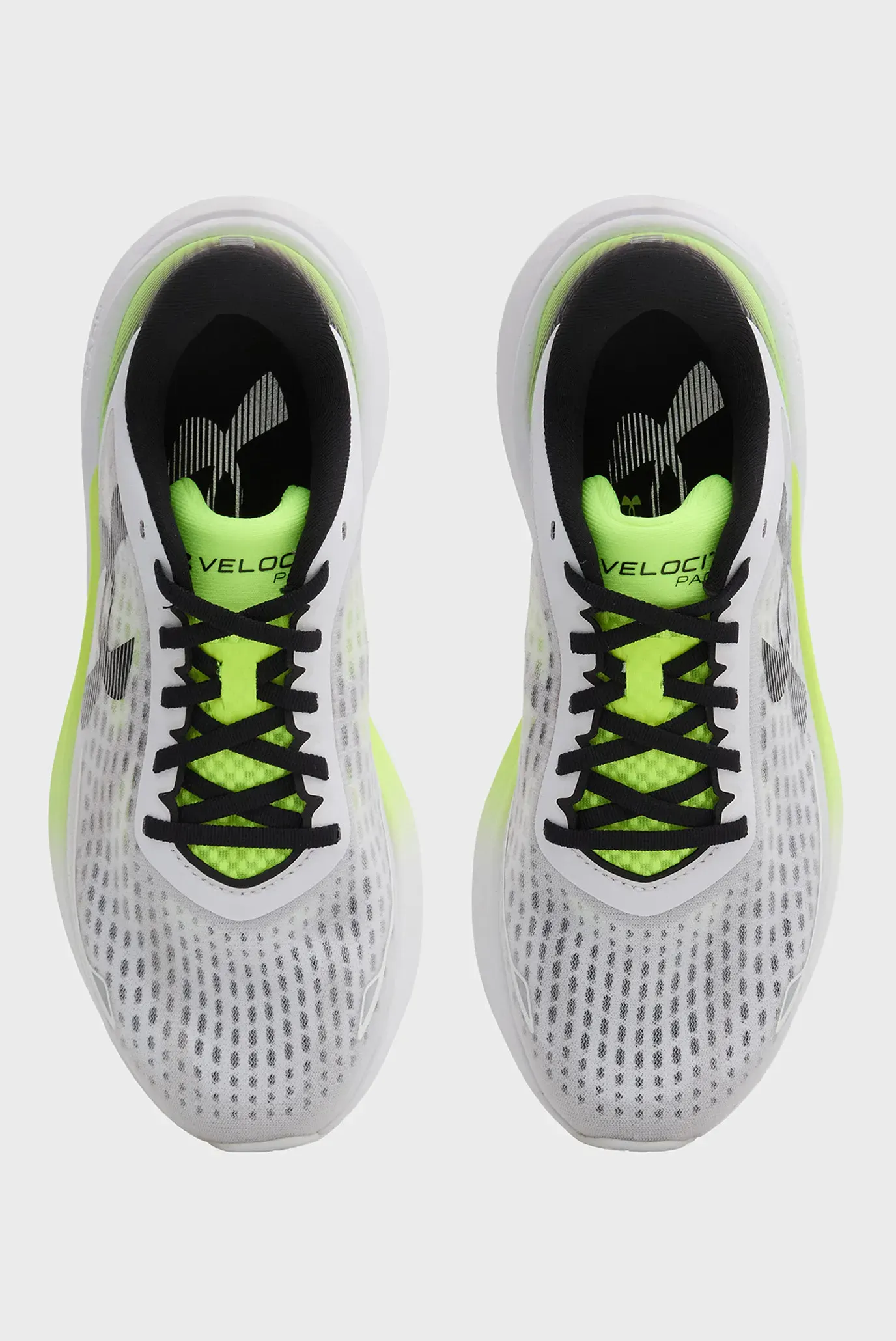 Кроссовки UA Velociti Pace 4