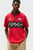 Поло/F1 MOVIE RACE DAY GRAPHIC POLO