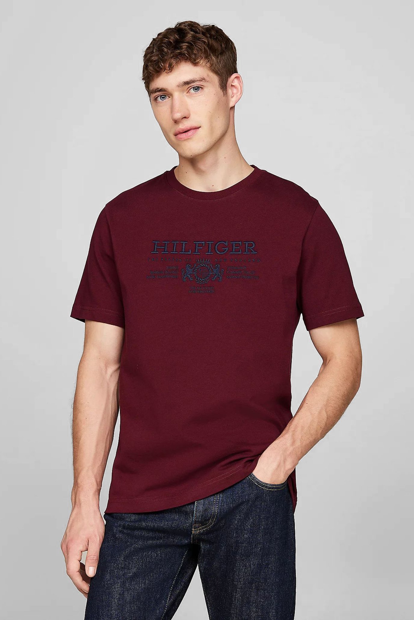 Футболка/HILFIGER CREST EMRBO TEE 1