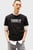 Футболка/TJM REG TOMMY DNA FLAG TEE EXT