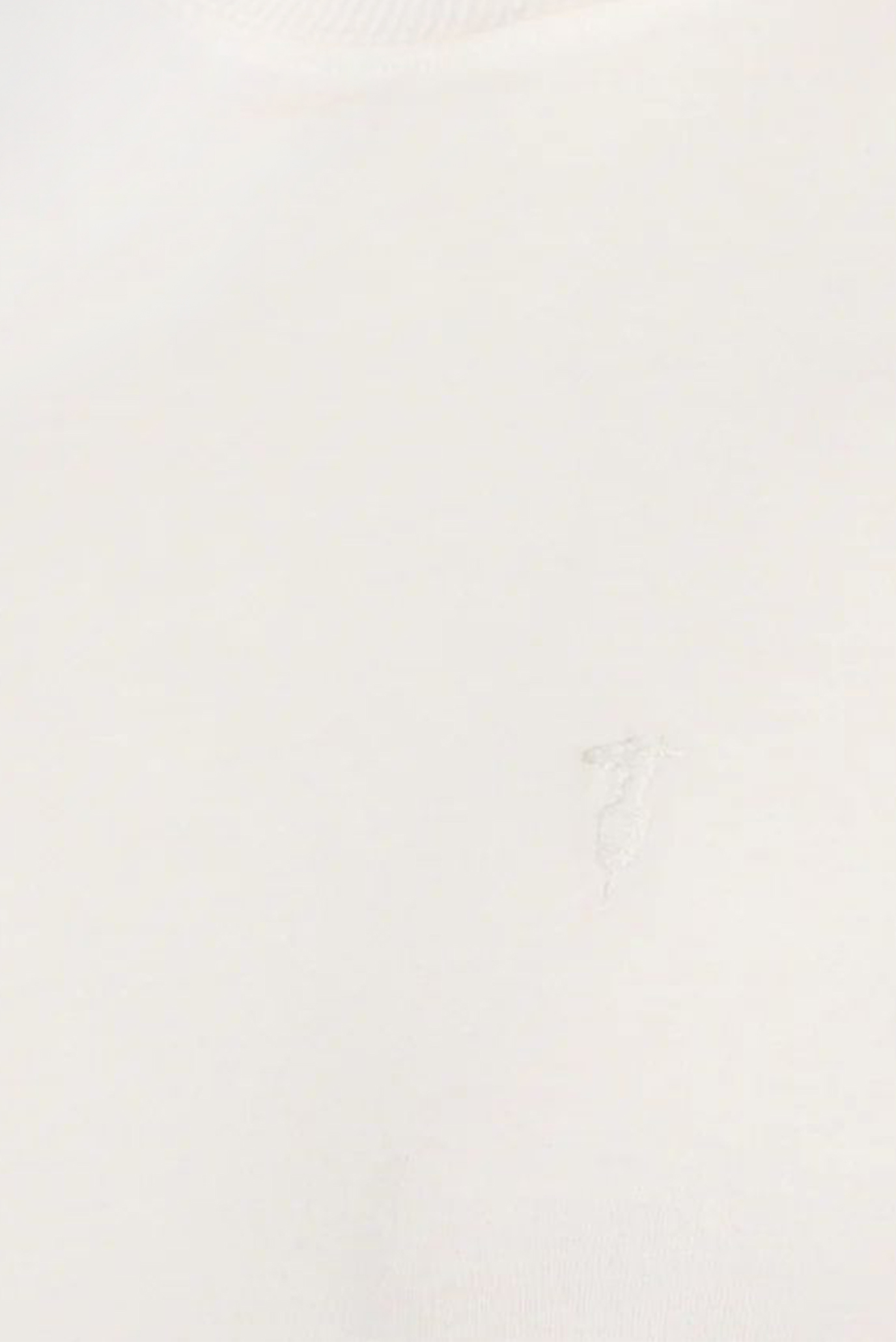 Футболка SLIM FIT T-SHIRT - ESSENTIAL LEVRIERO EMBROIDERY 2