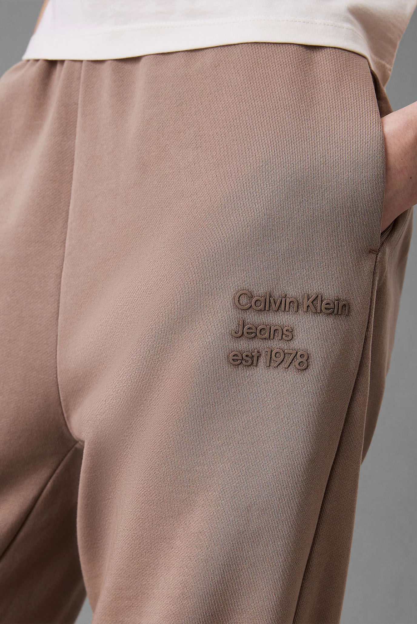 Женские коричневые спортивные брюки WASHED PUFF PRINT JOG PANT 4