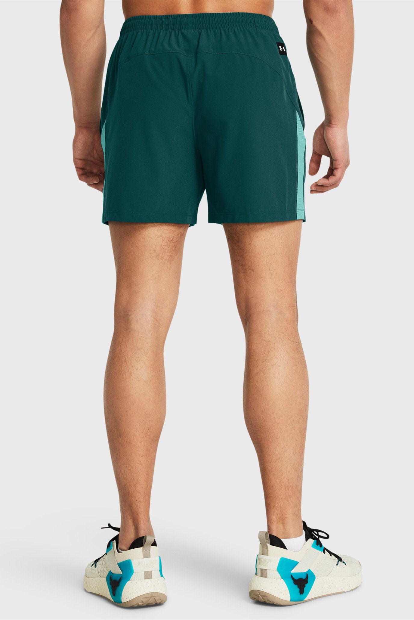 Шорты Pjt Rock Ultimate 5 Training Short 3