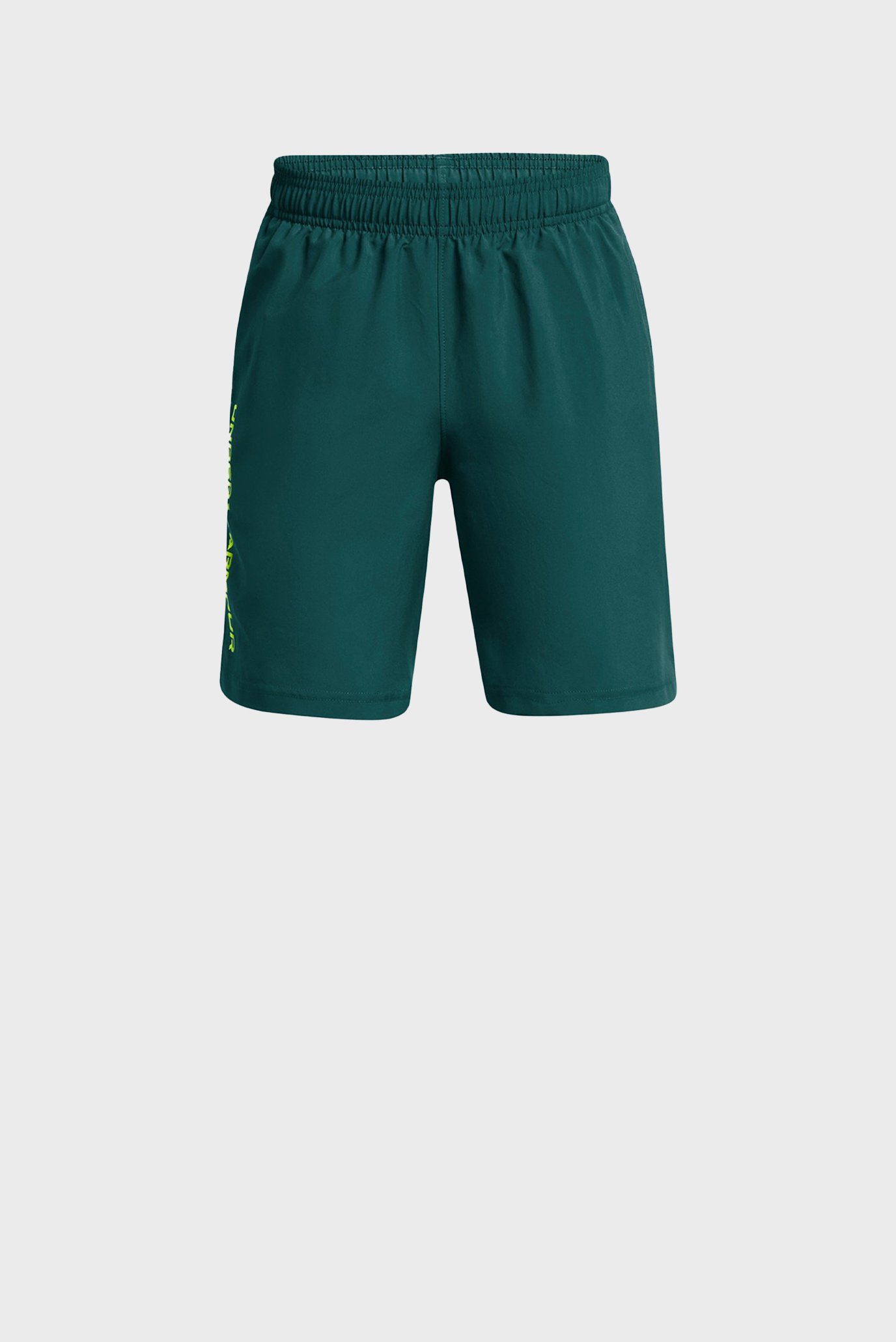 Шорты UA Woven Wdmk Shorts 3