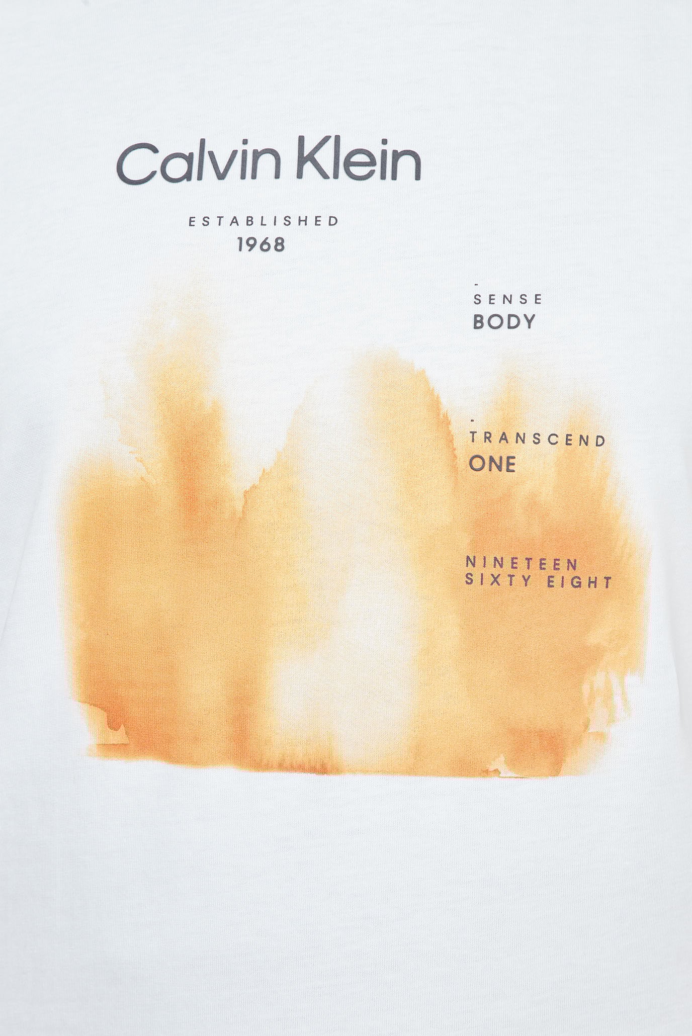 Футболка WATERCOLOR FADE T SHIRT 3