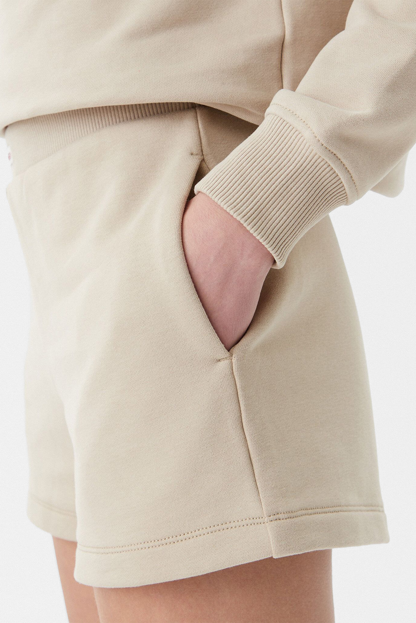 Шорты PLACED INSTITUTIONAL SHORT 3