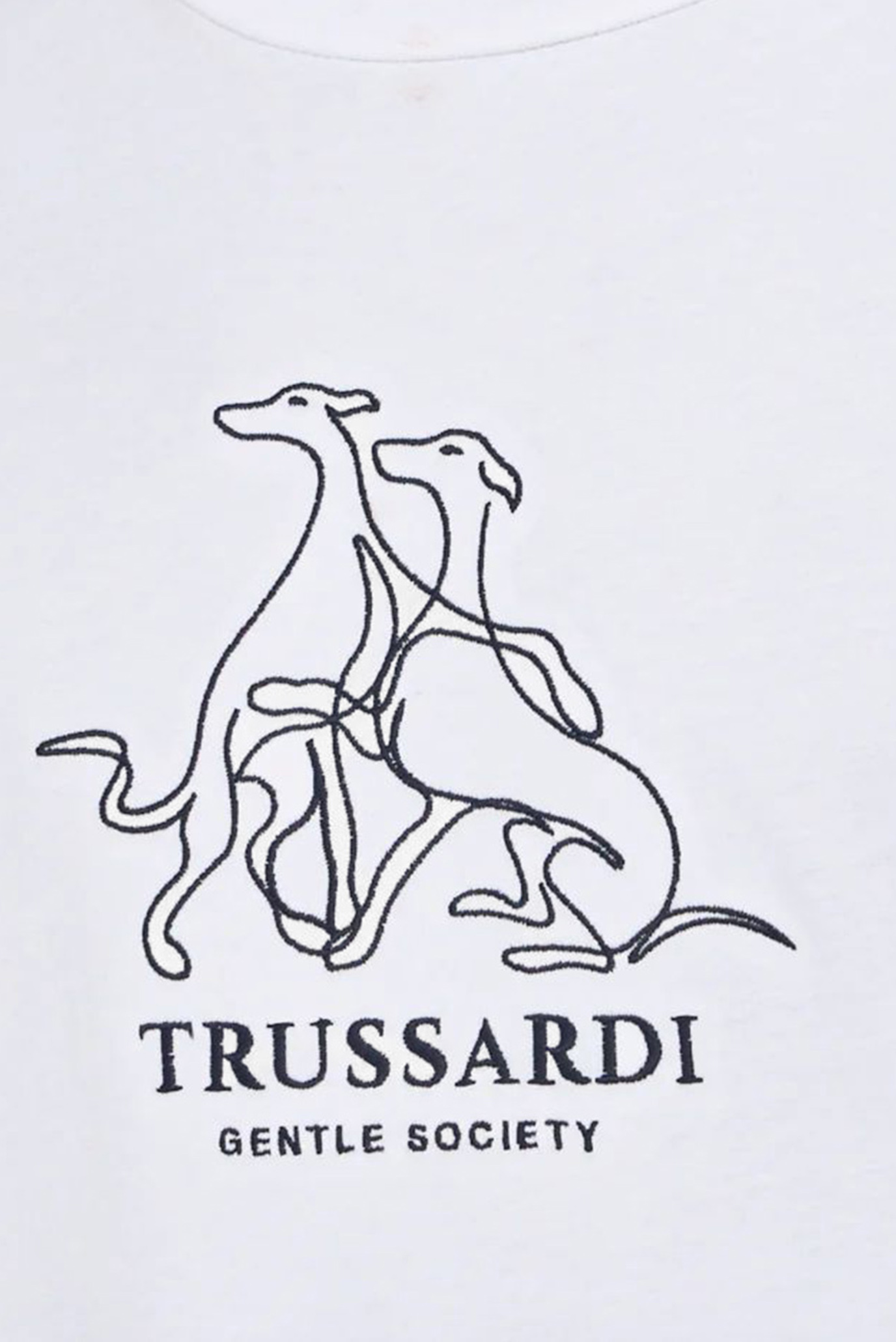 Футболка REGULAR FIT T-SHIRT - GENTLE SOCIETY EMBROIDERY 2