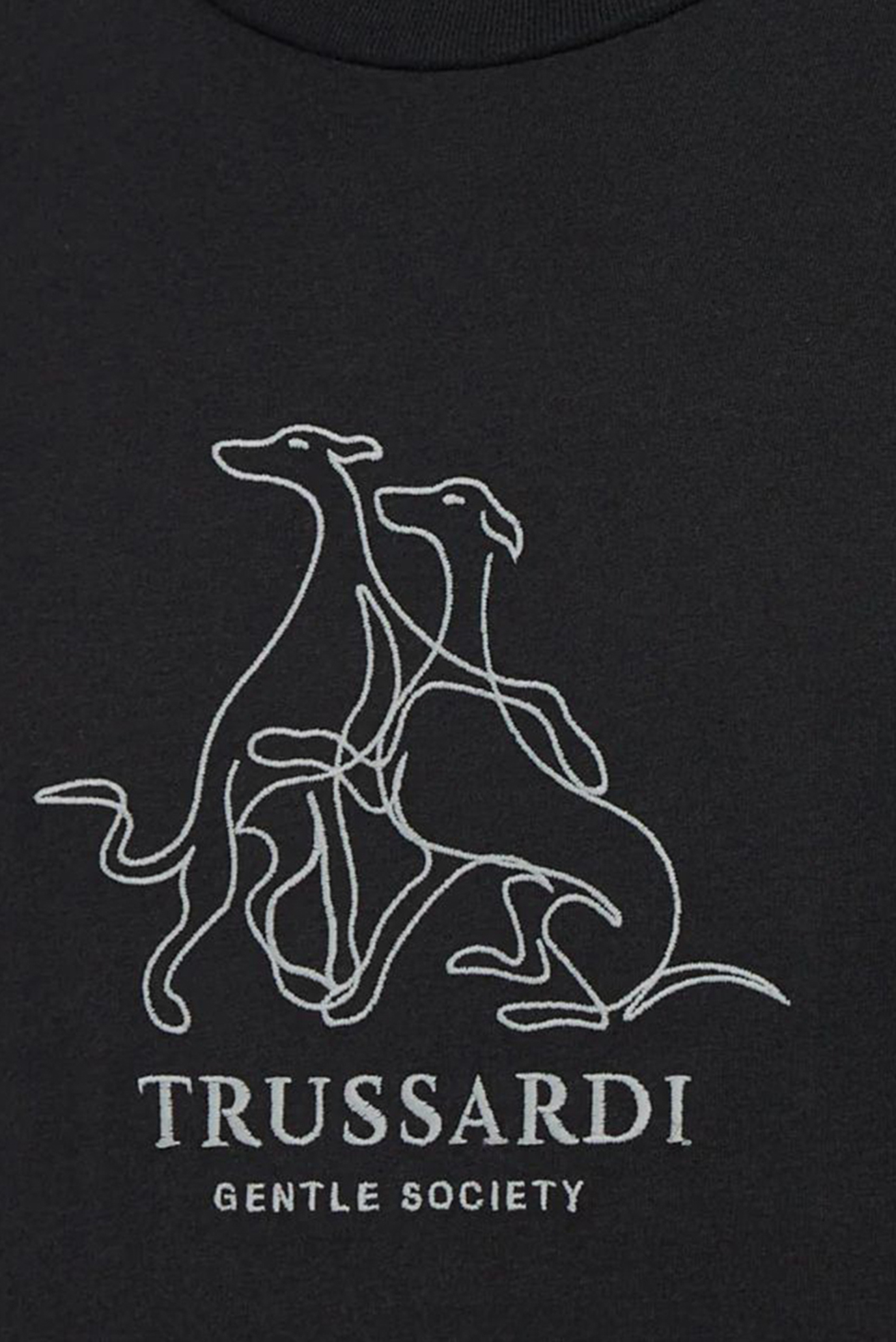 Футболка REGULAR FIT T-SHIRT - GENTLE SOCIETY EMBROIDERY 2