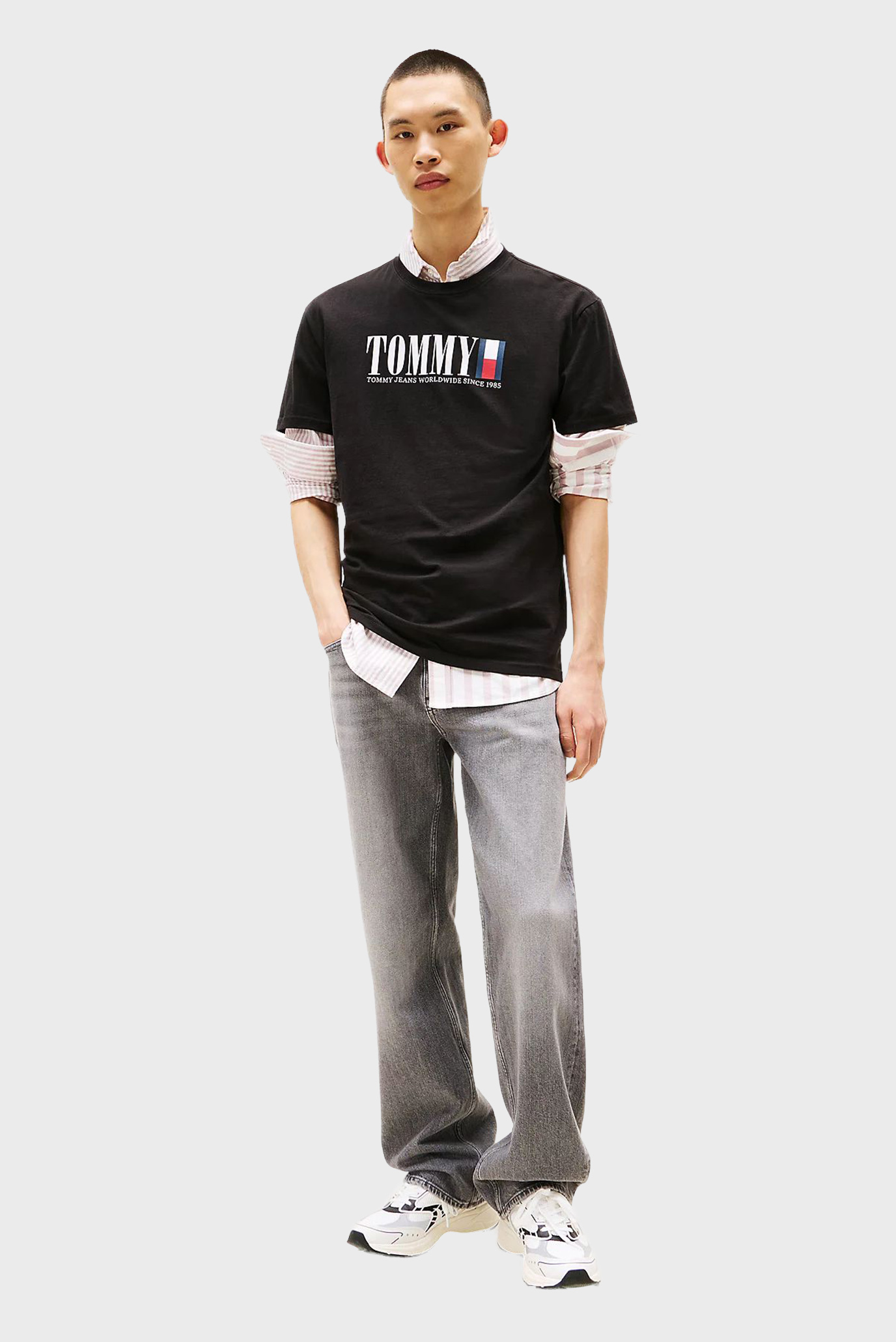 Футболка/TJM REG TOMMY DNA FLAG TEE EXT 2