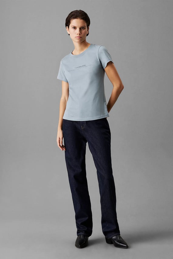 Футболка INSTITUTIONAL GRAPHIC SLIM TEE