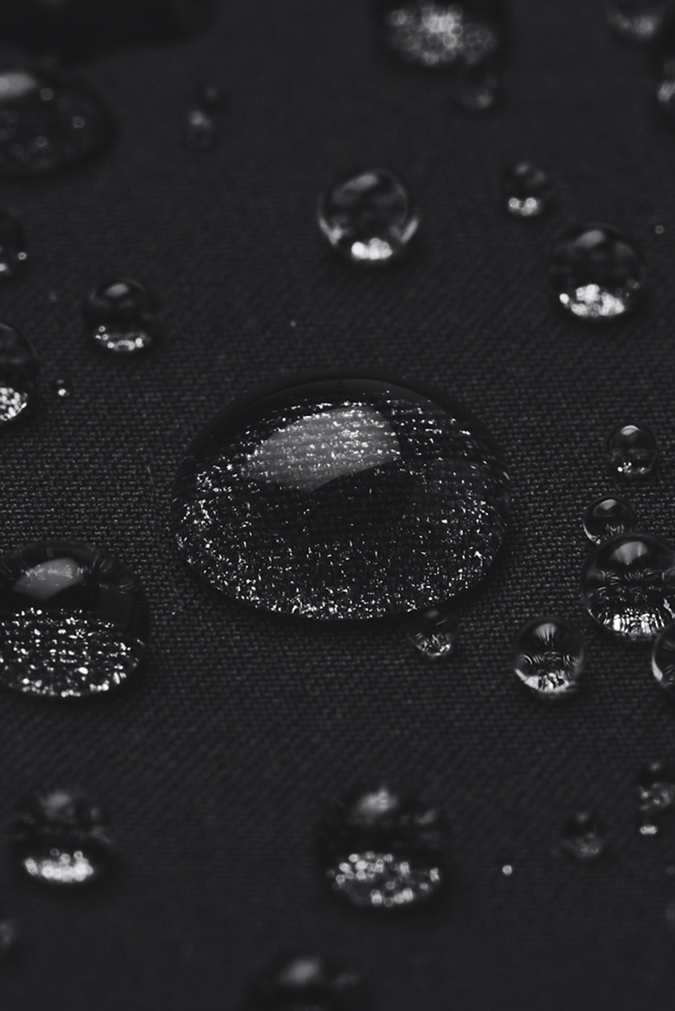 Штаны спортивные Pjt Rck Brahma Pant 13