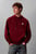 Худи LS EU BADGE 350TERRY HOODIE