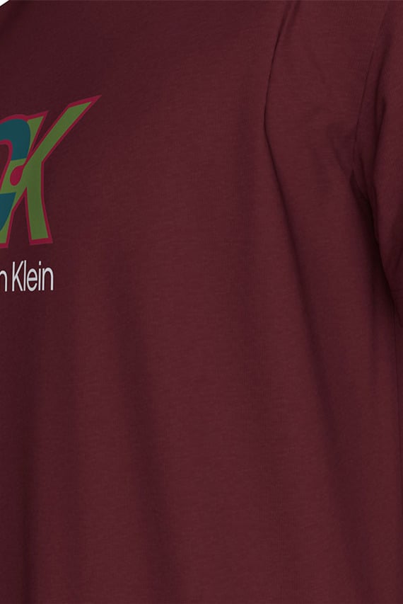 Футболка SS 30S EU CK DOT GRAPHIC TEE