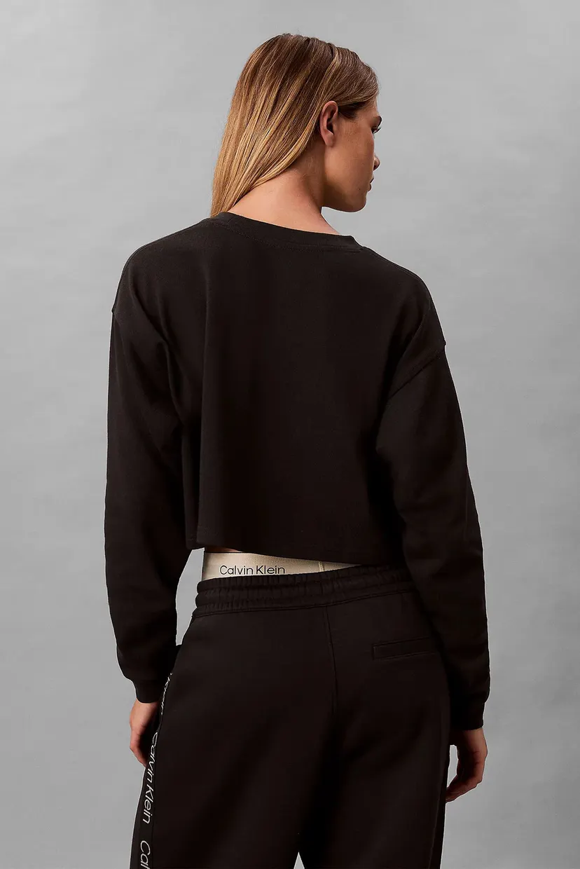 Реглан LOGO JERSEY LS CROP 3