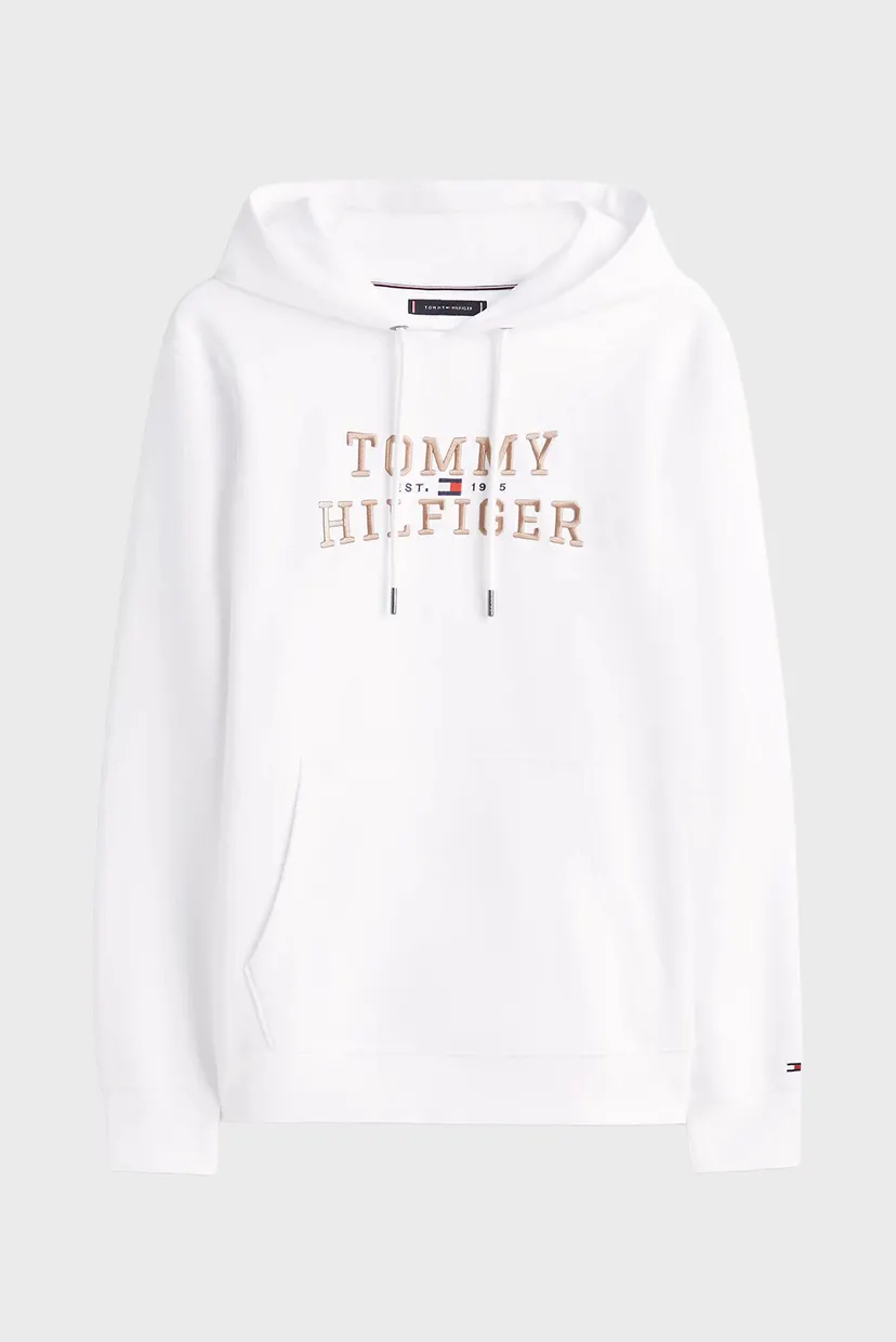 Худи ICON INTECHNO HOODY 5