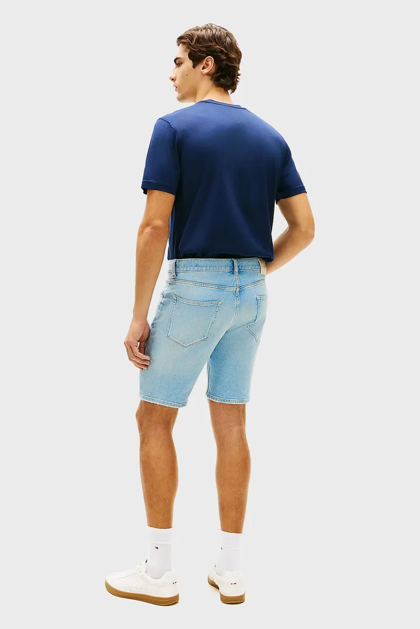 Шорты DENTON SHORT HERON BLUE 3