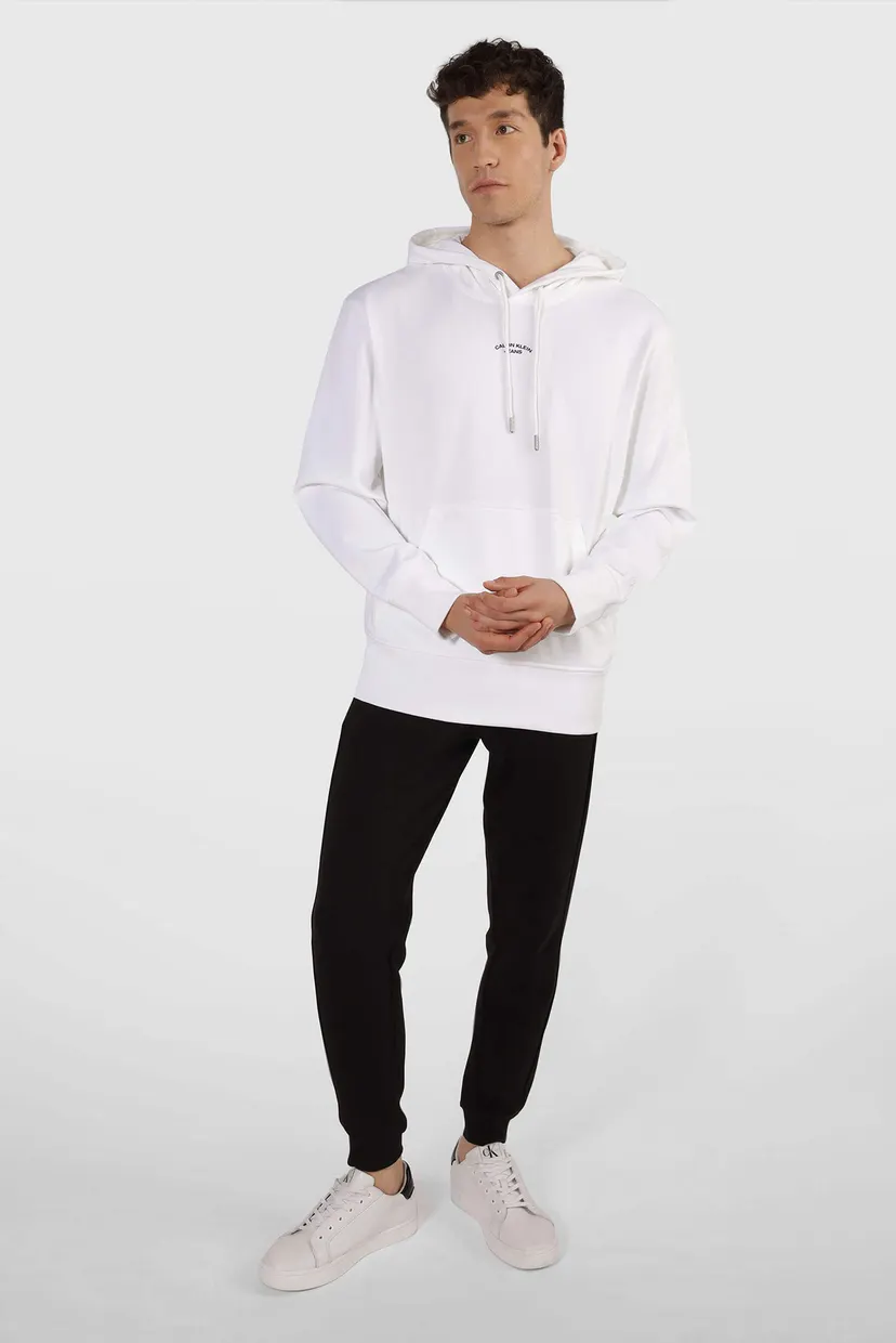 Худи CANVAS CURVE GRAPHIC HOODY 5