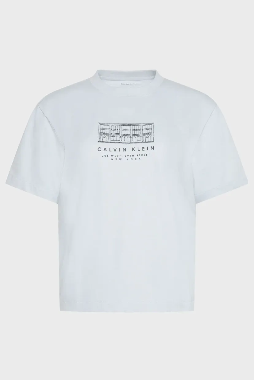 Футболка SS SEASONAL GRAPHIC BOXY TEE 5
