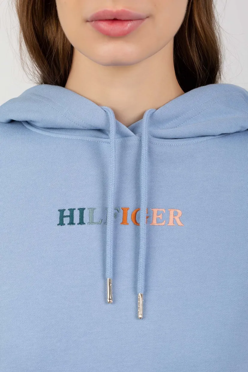 Худи REG MULTI COLOUR HILFIGER HOODIE 4