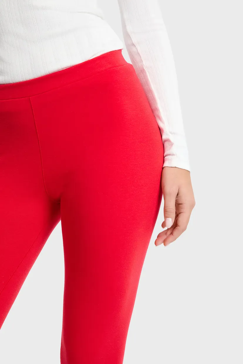 Легинсы/LIVIA - LEGGING 4