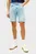 Шорты DENTON SHORT HERON BLUE