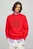Свитшот BIG ICON CREST SWEATSHIRT