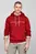 Худи TOMMY LOGO HOODY