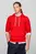 Худи TOMMY LOGO HOODY
