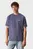 Мужская синяя футболка CALVIN KLEIN LABEL TEE