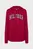 Худи REG VARSITY HILFIGER HOODIE Tommy Hilfiger