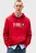 Худи/TJM REG RWB DNA GRAPHIC HOODIE