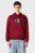 Худи LS EU 350TERRY CK DOT GRAPHIC HO