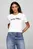 Футболка REG SCRIPT C-NK SS Tommy Hilfiger