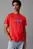 Футболка SS HERO MONOLOGO TEE 30S