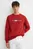 Свитшот HILFIGER FLAG EMBRO SWEATSHIRT