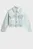 Куртка джинсовая DNM EVE SHORT TRUCKER JACKET LS Tommy Hilfiger